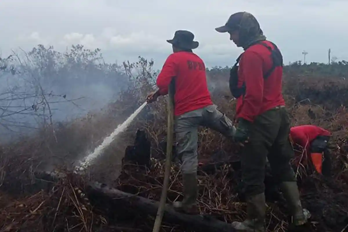 Karhutla di Desa Pasir Masih Belum Padam Meskipun Mempawah Sudah Turun Hujan