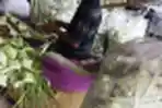 Pedagang Kulit Ketupat