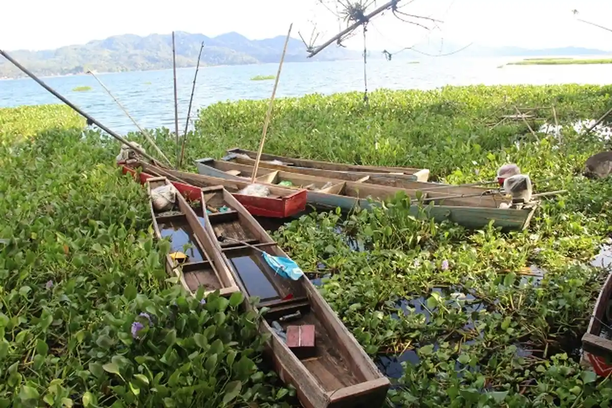 Wisata Karamba Danau Tondano Yang Terancam Eceng Gondok
