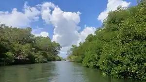 Pentingnya-Aksi-Kolektif-Untuk-Jaga-Lingkungan-Hidup-Dengan-Perlindungan.jpg