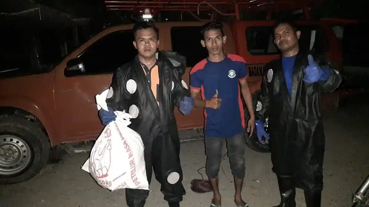 Pemusnahan Sarang Tawon Telan Korban, Seorang Petugas Damkar Aceh Besar Disengat