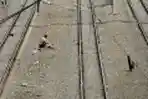 Jalur Kereta Api Belum Steril