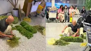 Bule-petik-kangkung-di-lobi-bandara.jpg