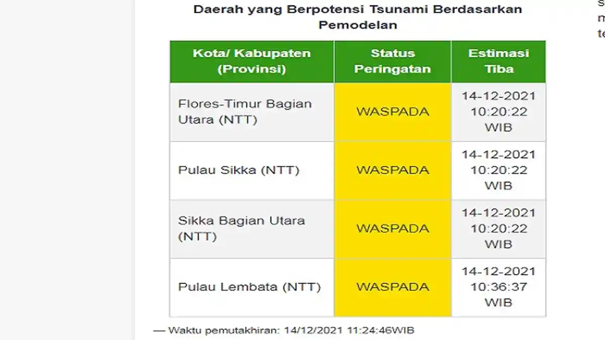 Gempa Flores, Potensi Tsunami Masyarakat di Empat Wilayah Ini Diminta Menjauh dari Laut dan Sungai