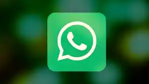 Whatsapp.jpg