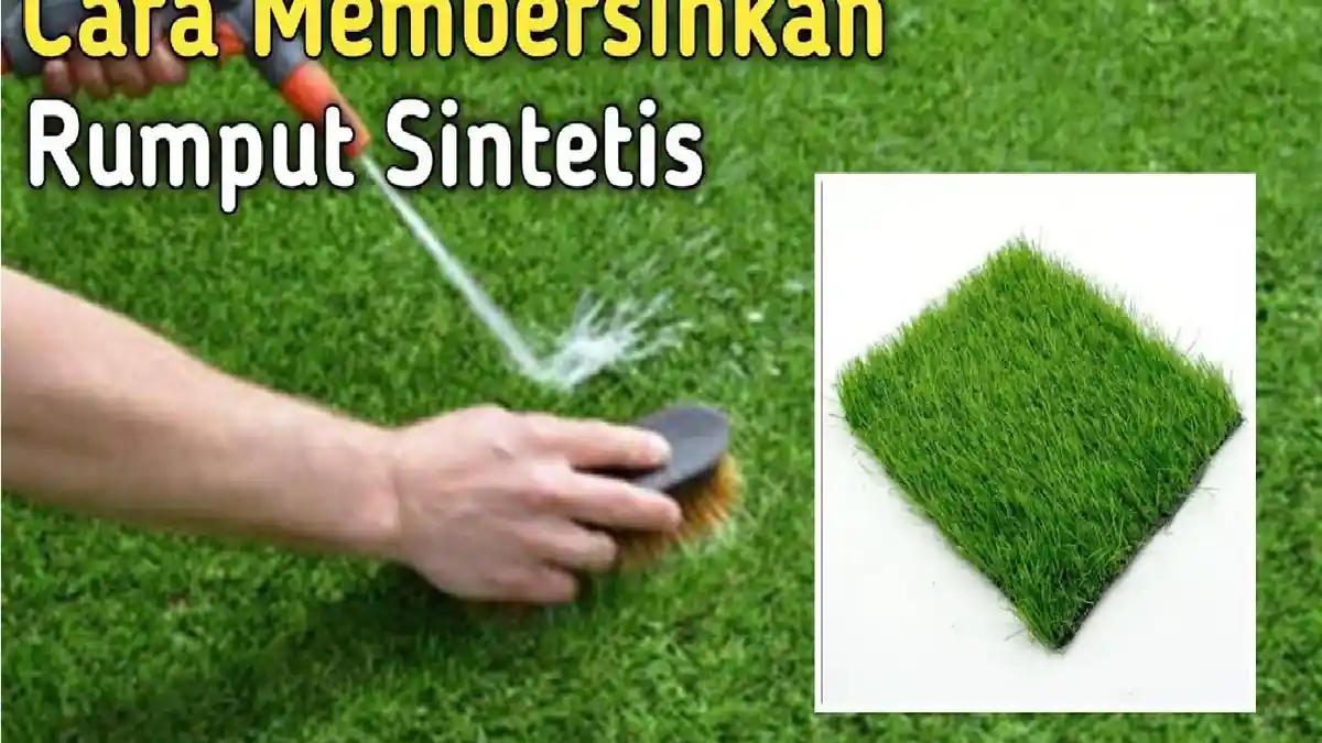 Tips & Trik Membersihkan Rumput Sintetis dan Rotan di Rumah