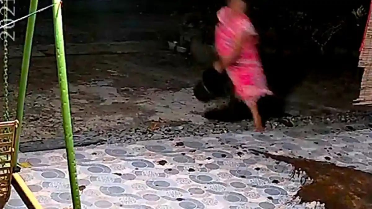 Wanita Ini Siram Rumah Tetangga Pakai Kotoran Hewan, Mengaku untuk Menangkal Guna-guna