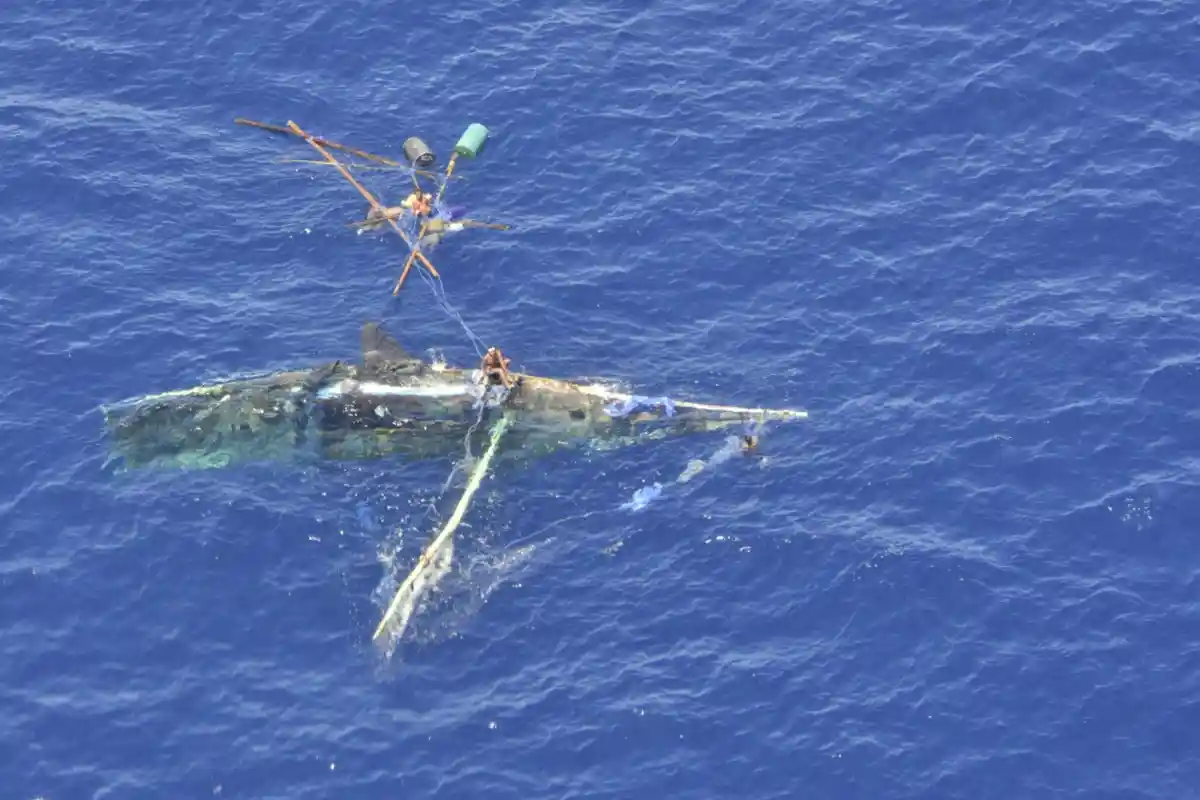 Perahu Tenggelam, 5 Nelayan Malaka NTT Selamat Setelah Berenang 3 Jam