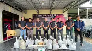 20260703-KOLEKTOR-TIMAH3.jpg
