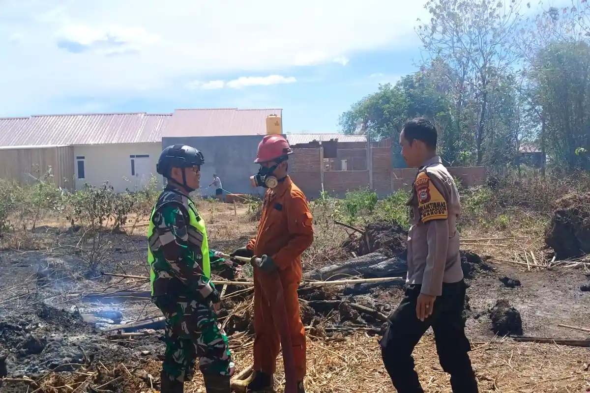 3 Hektar Lahan di Palisi Terbakar, Petugas Damkar dan Warga Bahu-membahu Padamkan