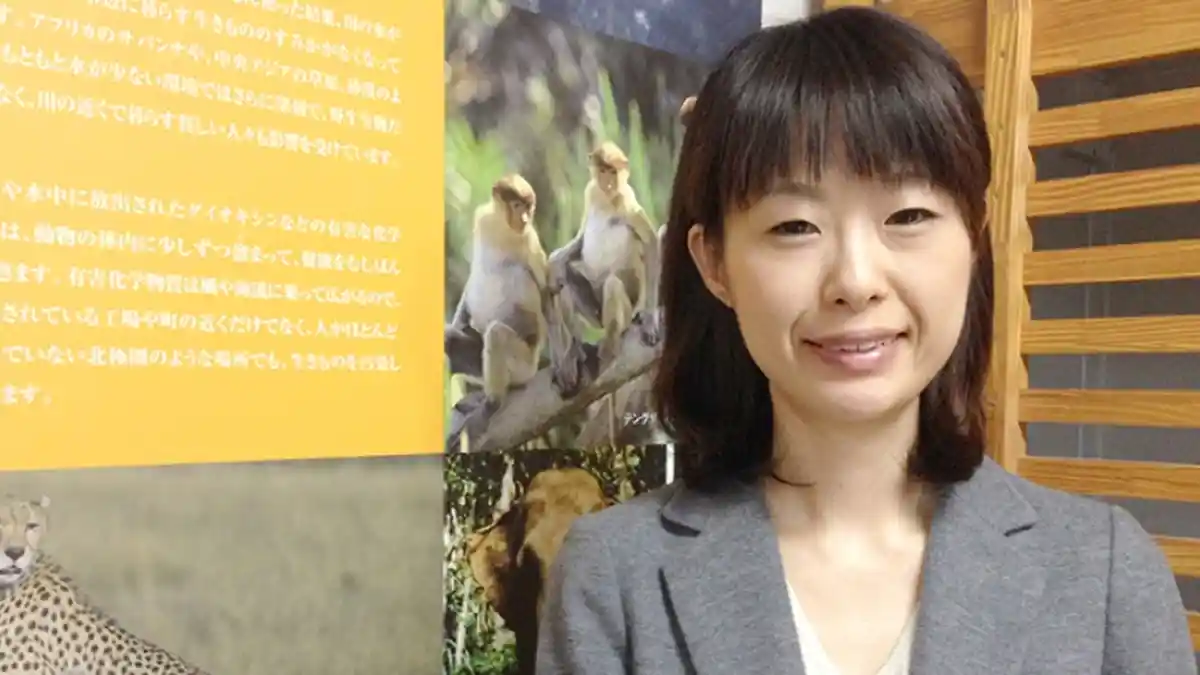 WWF Indonesia Dapat Puluhan Juta Yen Per Tahun dari WWF Jepang