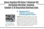 Kunci-Jawaban-IPA-Kelas-7-Halaman-182-Kurikulum-Merdeka-Jawaban-Gambar-616-Kepunahan-Harimau-Jawa.jpg