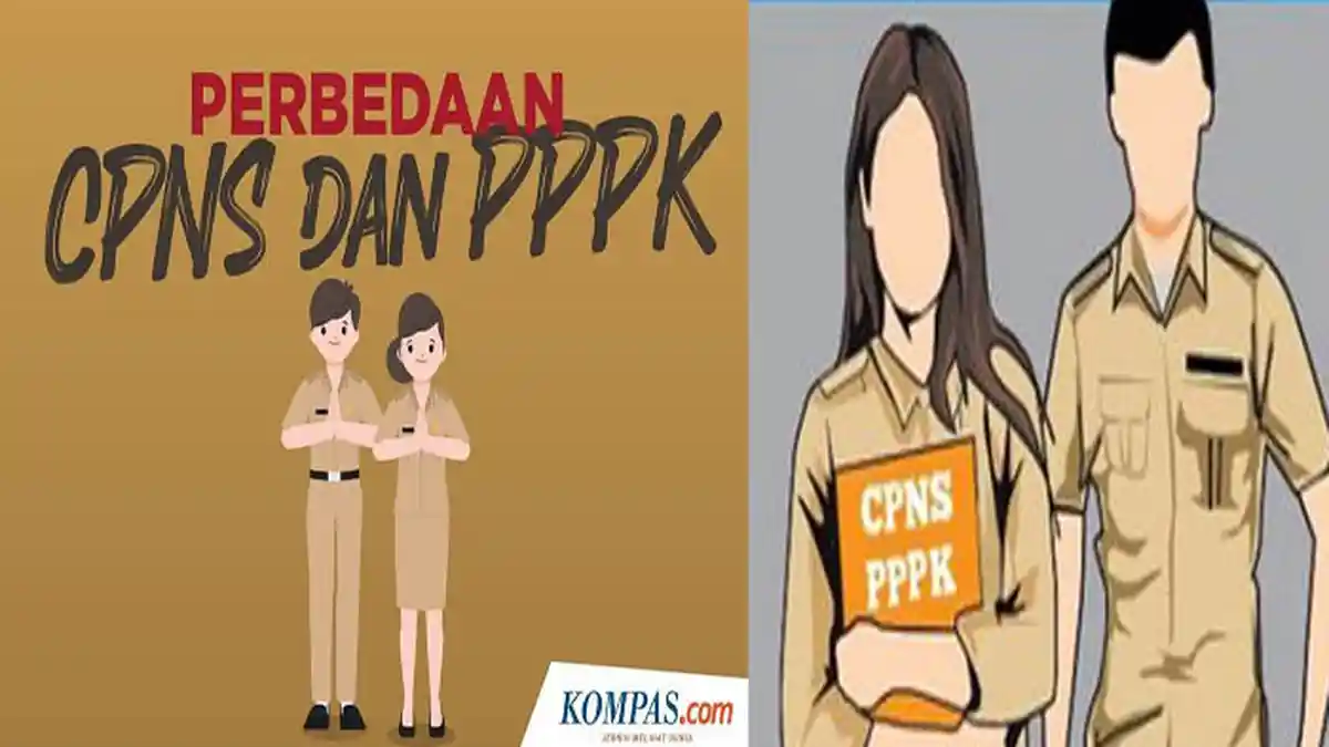 PERBEDAAN CPNS dan P3K, Dari Hak Didapatkan Hingga Masa Kerja