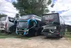 Mudik Palu–Manado, Tiket Bus PO Harvest Mulai Rp450 Ribu, Ada Promo Rombongan