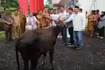 Hewan-kurban-di-Mitra-aergwrtge.jpg