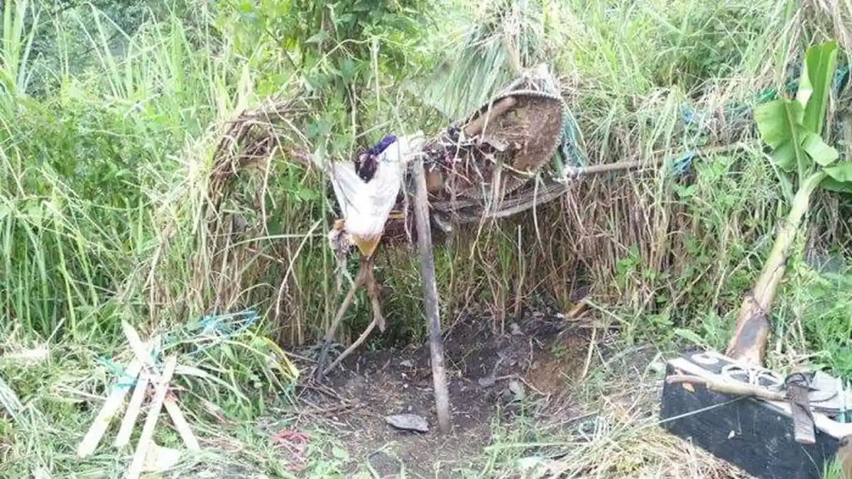 Sudah 3 Tahun Kakek Aman Tinggal di Semak-semak, Mengaku Dapat Uang Rp 2.000 saat Mengangkut Sampah