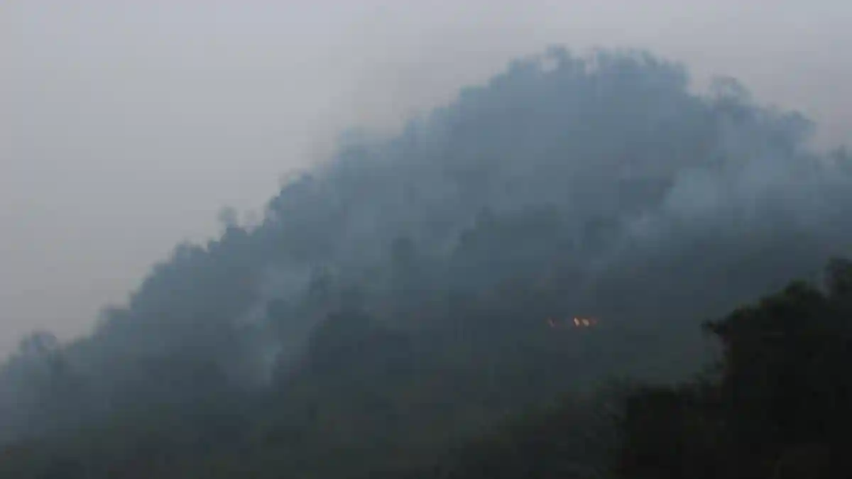 Hutan di Lereng Gunung Merbabu di Wilayah Magelang Terbakar