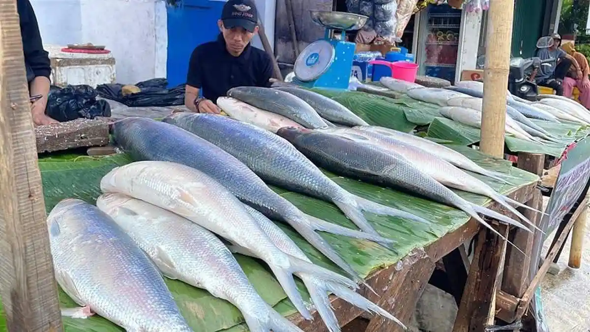 Pedagang Bandeng Imlek Mulai Menjamur di Rawa Belong, Jual Ikan Mulai Rp 60.000 per-Kilogram