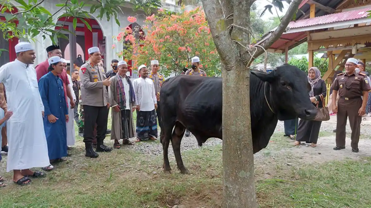 Kapolda Aceh Kunjungi Pesantren di Bambi, Bantu Seekor Sapi dan Sembako