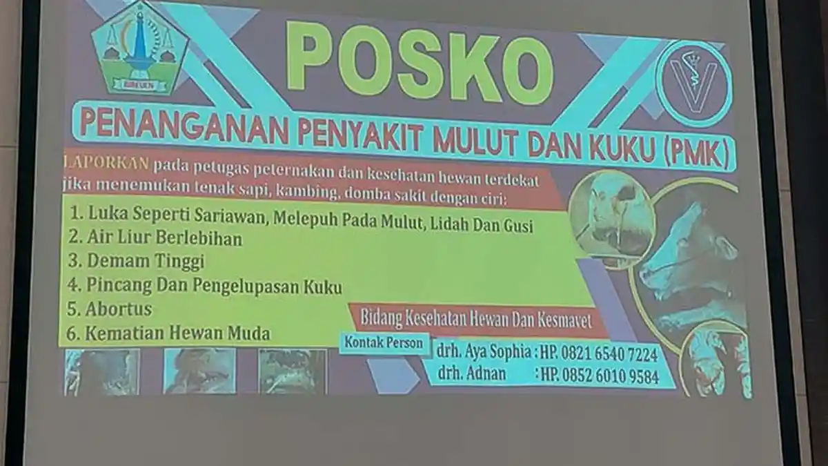 Delapan Puskeswan di Bireuen Menjadi Posko Penanganan PMK