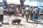 suasana-saat-operasi-gabungan-mengecek-skkh-di-kota-mbay-kabupaten-nagekeo_20180908_160519.jpg