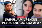 SAIPUL-JAMIL-Merengek-Pengin-Peluk-Angga-Wijaya-Dewi-Perssik-Ungkap-Hal-Ini.jpg