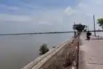 Lahan Pertanian di Wonosoco Kudus Tergenang Banjir Setiap Tahun, Butuh Normalisasi Sungai
