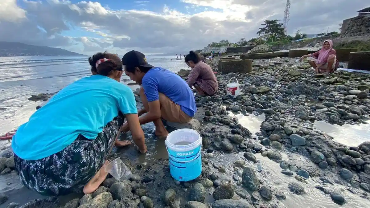 Surut Pantai di Pantai Rumah Tiga - Ambon, Warga Seru-seruan Cari Kerang dan Ikan 