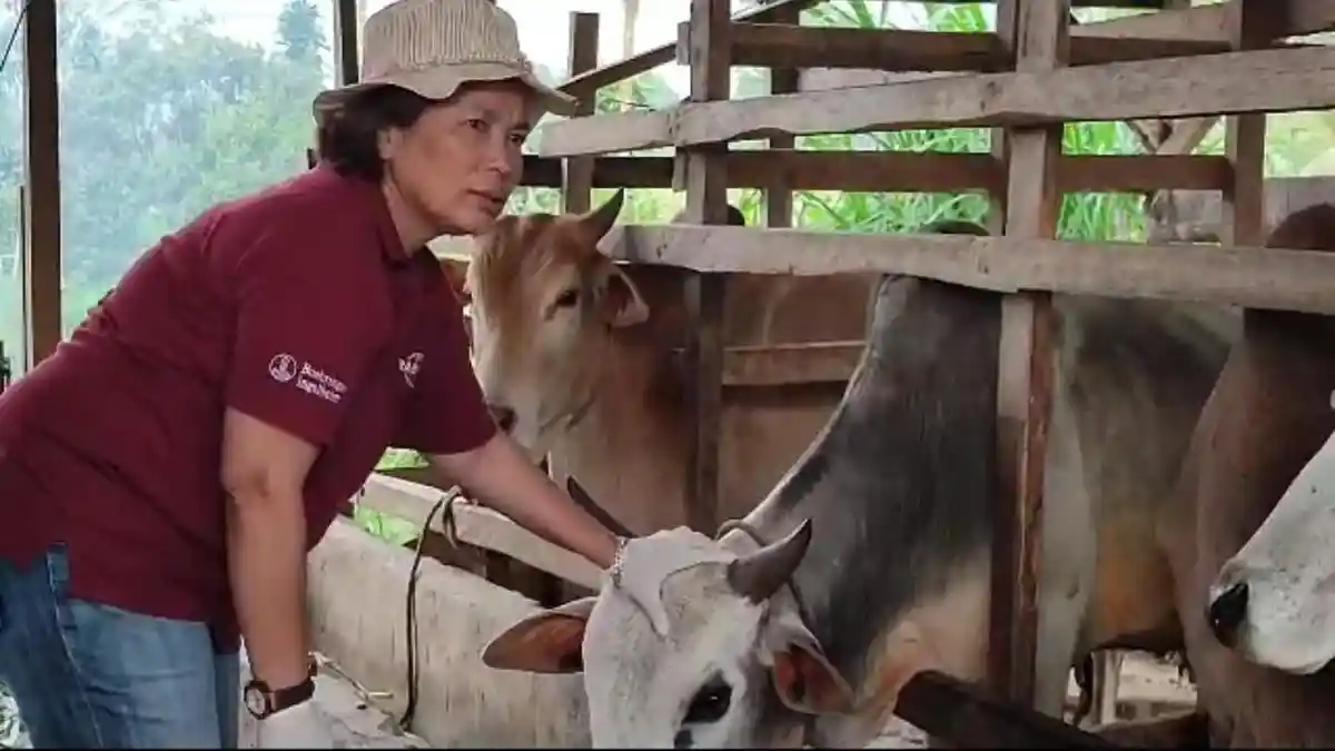 Ernawati Berutu, Istri Sekda Dairi Meninggal Dunia, Ini Sosoknya