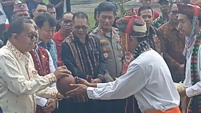Tribun