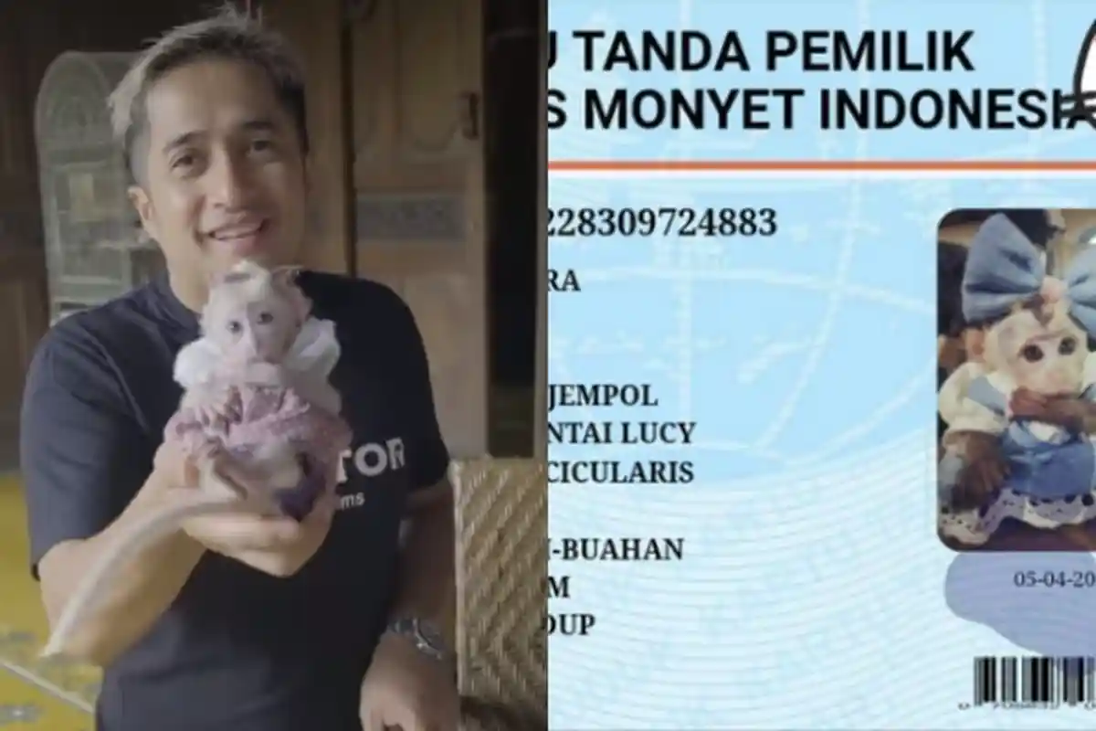 Tak Hanya Populer di Instagram, Monyet Irfan Hakim Akhirnya Miliki KTP, Nama Lengkap Jadi Sorotan
