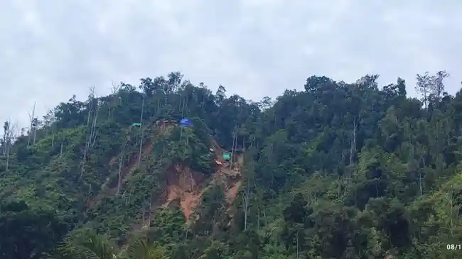 Tambang Ilegal Ditertibkan, Ratusan Hektare Lahan Kembali ke Negara