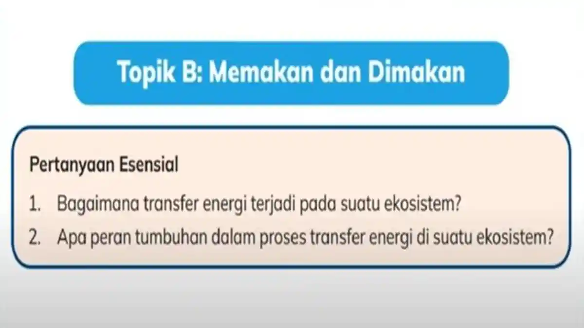 Kunci Jawaban IPAS Kelas 5 SD Halaman 56 Kurikulum Merdeka, Topik B Memakan dan Dimakan