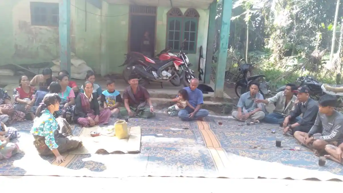 Pemangsa Kambing dan Ternak Babi di Sigalapang Diduga Kuat Harimau Sumatera