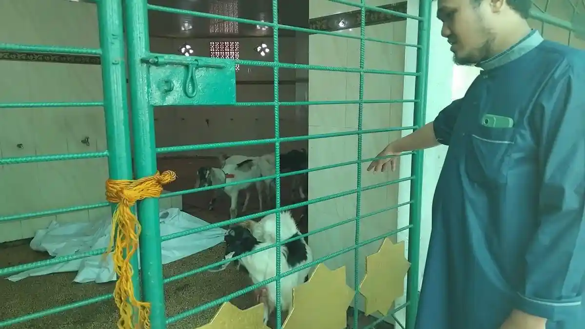 Kemarin 14 Sapi, Masjid Agung SMB Jayo Wikramo Palembang Kembali Potong 10 Kambing Hari ini