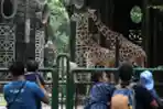 Libur Lebaran di Taman Margasatwa Ragunan
