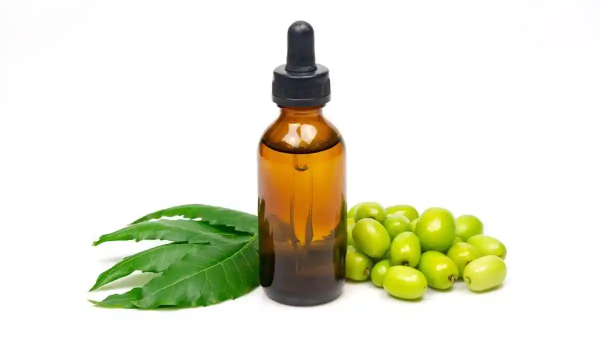 Selain Bisa Lawan Tanda Penuaan, Ini Manfaat Lain Neem Oil untuk Kulit