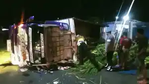 Truk-bermuatan-janur-terguling-di-jalur-tengkorak-Jalan-Raya-Denpasar-Gilimanuk-12.jpg