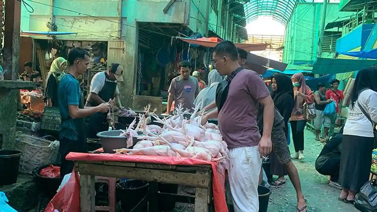 Harga Cabai Bertahan Tinggi, Ayam Potong Turun, Diserbu Pembeli di Aceh Tamiang - Serambinews.com