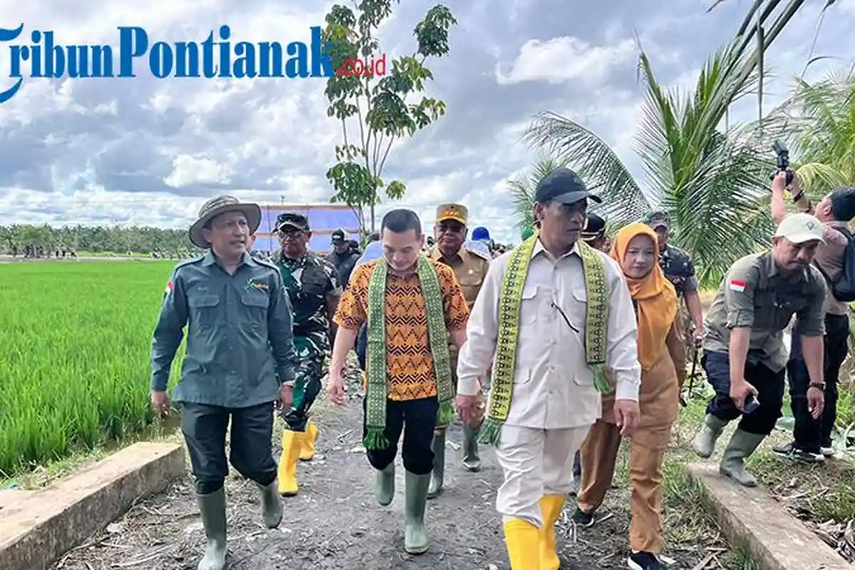 Kunker ke Sambas, Mentan Andi Amran Sulaiman Minta Oplah Tanam 3 Kali Setahun