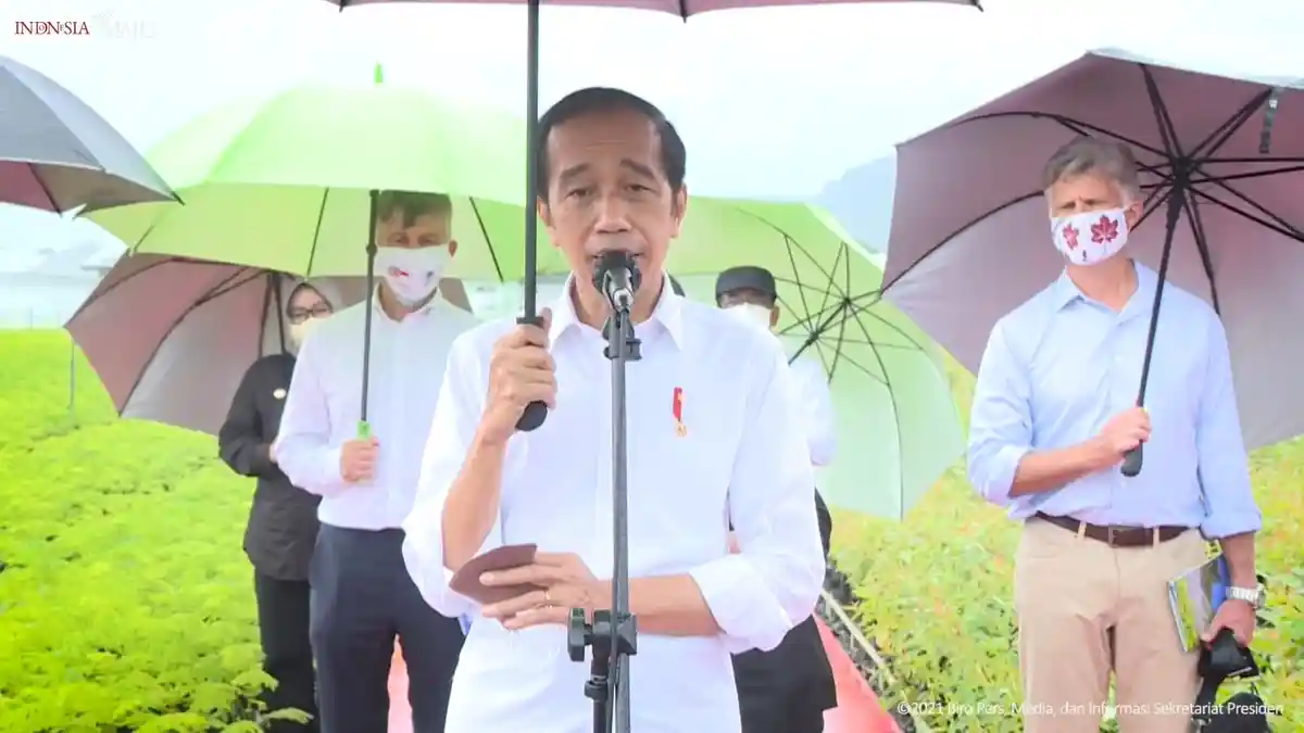 Serius Tangani Dampak Perubahan Iklim, Jokowi akan Paksa Perusahaan Bangun Pusat Persemaian