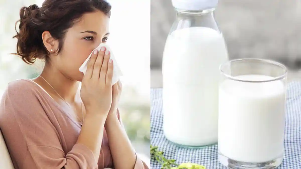 Minum Susu Beruang Bisa Memperparah Batuk & Pilek, Mitos Atau Fakta? Simak Penjelasannya