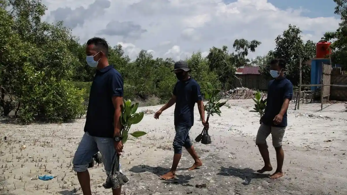 Komitmen Jaga Wilayah Maritim, MIND ID dan Inalum Hadirkan Program Pohon Asuh