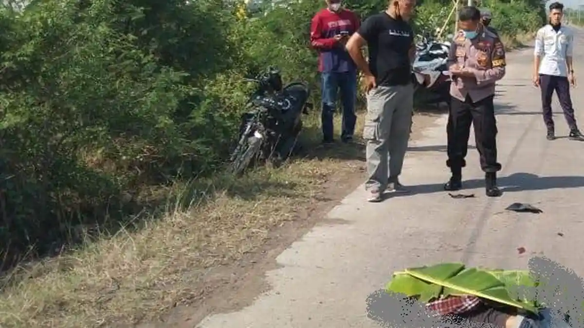 Kecelakaan Warga Batang Meninggal Dunia Usai Tabrak Kerbau di Kaliwungu Kendal