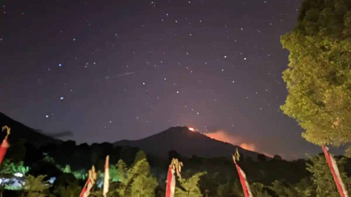 Kawasan Hutan Gunung Merapi Ungup-ungup Banyuwangi Terbakar