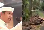 Pohon Hutan Lindung di Sukamantri Bogor Ditebang, TNGHS Klarifikasi, Dedi Mulyadi Mau Cek Sendiri