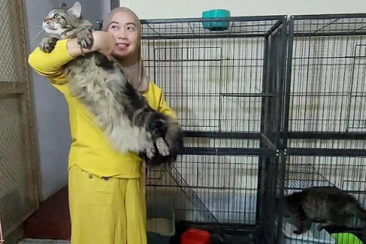 Berkah Ramadan Untuk Jasa Penitipan Kucing di Probolinggo, Nonik Ismail Tampung Ratusan Ekor Kucing