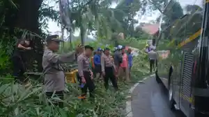 Jalur-Provinsi-Subang-Bandung-kini-Jalur-sudah-kembali-normal.jpg