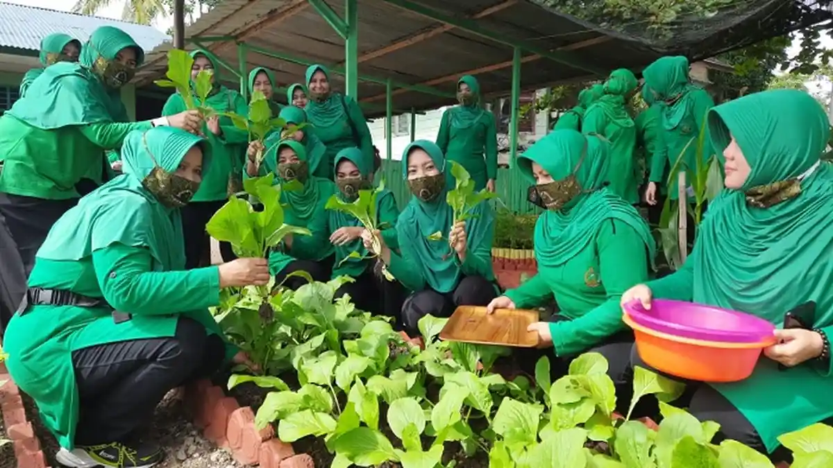 Manfaatkan Lahan Kosong, Ketua Persit Kodim Aceh Utara Panen Sayuran