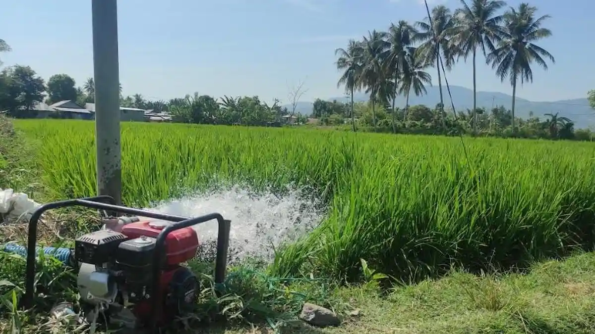 Marten Taha Janjikan Kompensasi Rp 10 Juta per Hektar untuk Petani Kota Gorontalo yang Gagal Panen